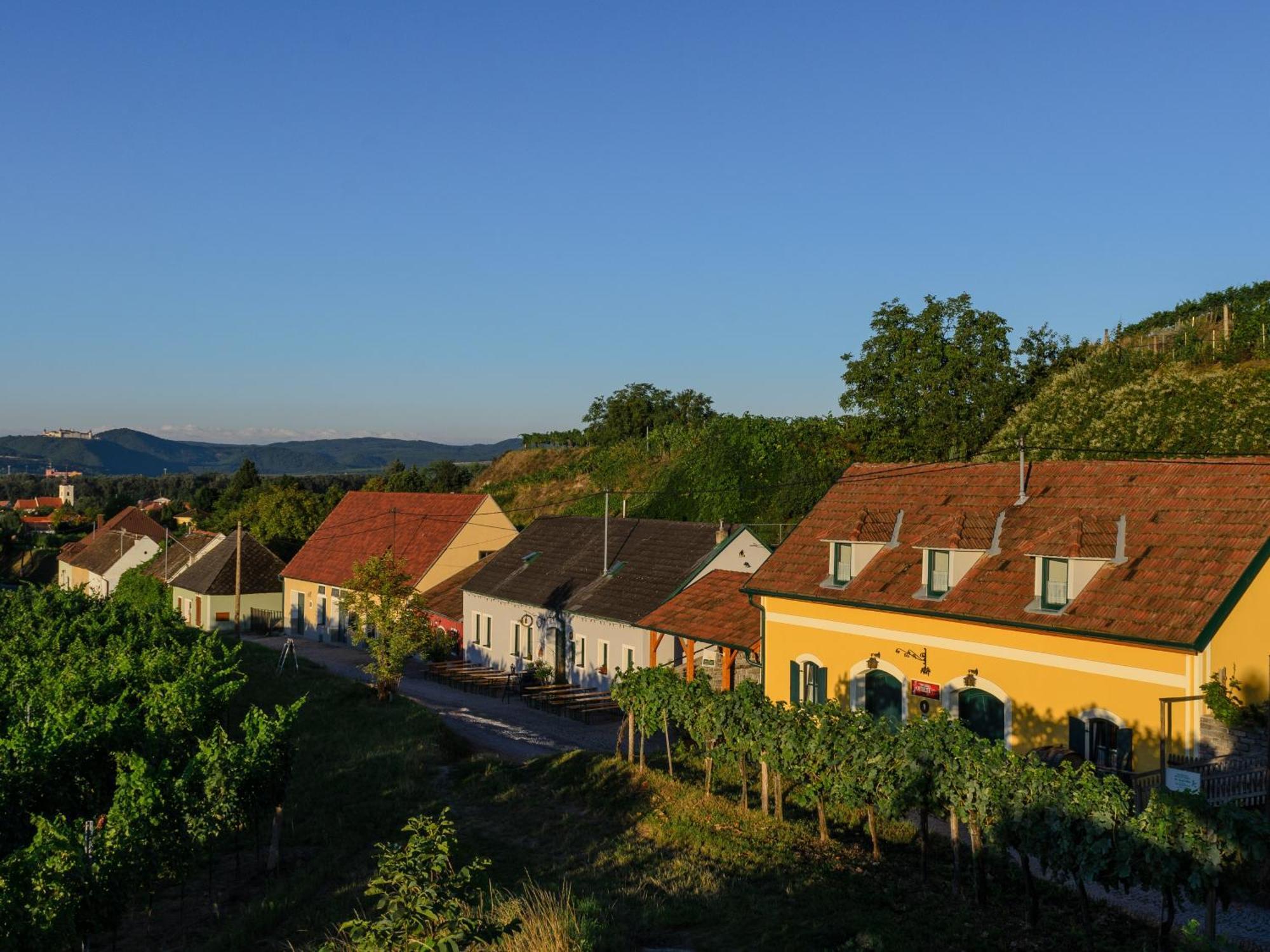 Gaestehaus Familie Trachsler Hotel Rohrendorf bei Krems Exterior photo